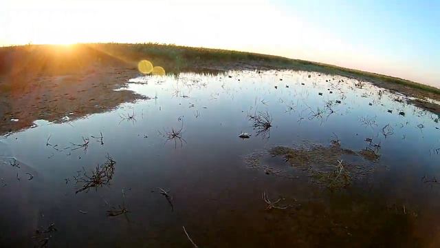 Открытие охоты в Калмыкии смотреть онлайн