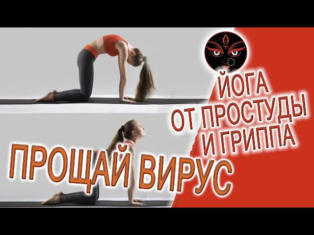 Йога от простуды и гриппа! смотреть онлайн