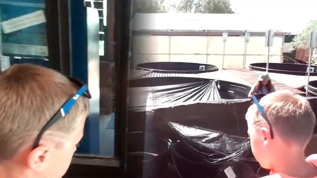 ARCHELON, Sea Turtle Rescue Centre In Greece - Архелон, Товариство захисту морських черепах Греції