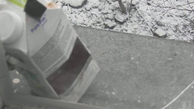 Дуже голодні синички на підвіконні. смотреть онлайн