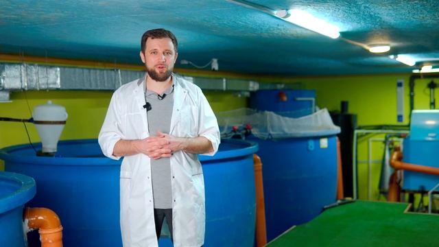 Что НЕОБХОДИМО ЗНАТЬ о посадочном МАТЕРИАЛЕ для УЗВ? смотреть онлайн