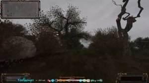S.T.A.L.K.E.R  ОП - 2.1 патч 6.2  Забытый Лес , Лесник ты где  I  ЦЗ I# 57  19:50 МСК