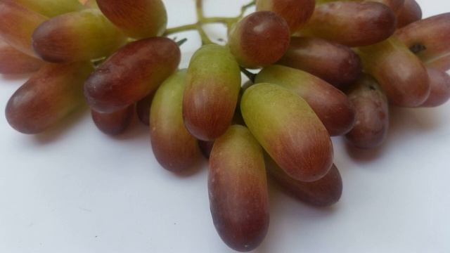 Виноград МАНИКЮР ФИНГЕР, и РЕД ГЛОУБ смотреть онлайн