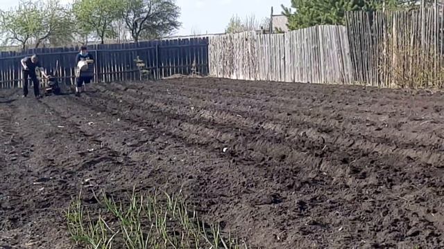 Приехали к маме/Оксана садит картофель.