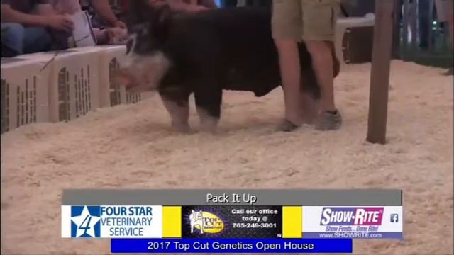 Top Cut Genetics | Pack It Up Berk Boar смотреть онлайн