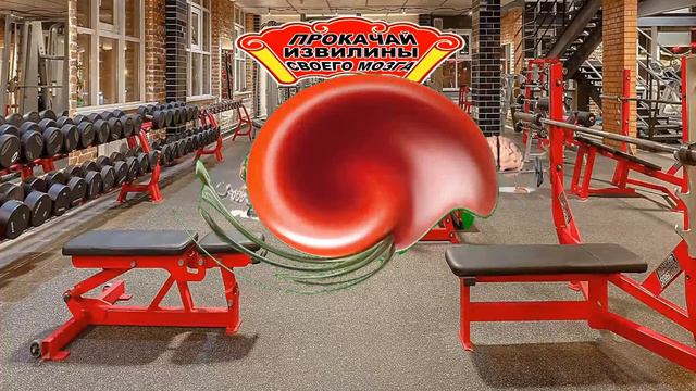 📢ЗАХОДИМ, ИГРАЕМ, ДЕНЬГИ ПОЛУЧАЕМ💰🤑👉Подводим итоги конкурса"СМЕШНЫЕ ДЕНЬГИ" №3😁✌ смотреть онлайн