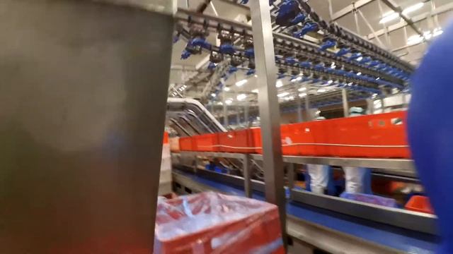 Работа в Польше (мясокомбинаты) смотреть онлайн