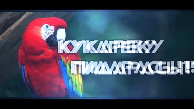 Слуховые Аппараты Для Попугаев "НОВАЯ МОДЕЛЬ" смотреть онлайн