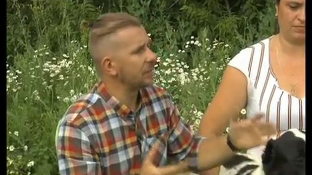 Cреднеазиатская овчарка- друг человека смотреть онлайн