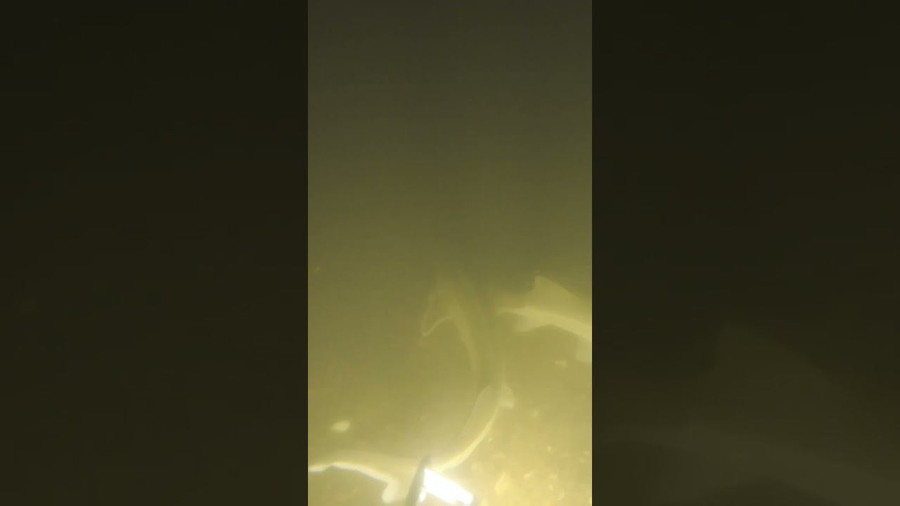 Нырнул ночью в яму на 12 метров, а там смотреть онлайн