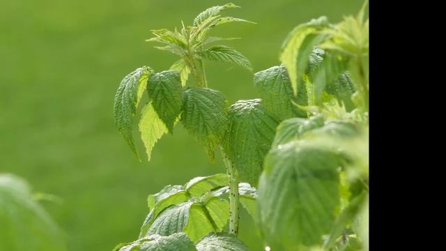 Olympus E500 Evolt short review смотреть онлайн