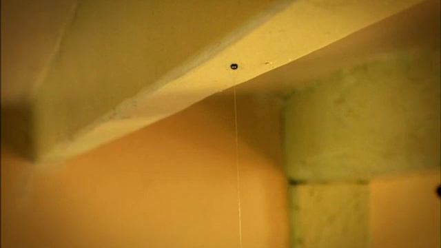 Букашки 2007 - 78 серий, без титров, без заставки (Minuscule, No credits, intro, opening) HD смотреть онлайн