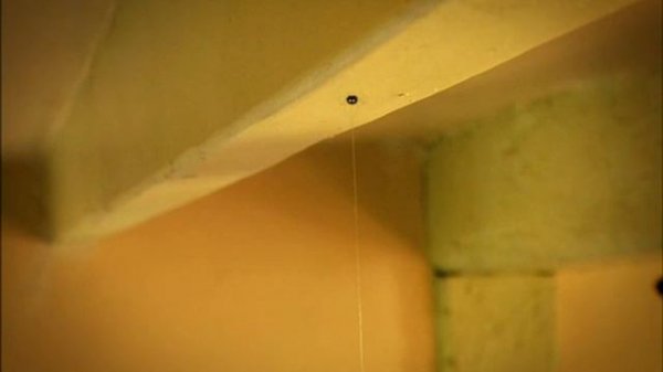 Букашки 2007 - 78 серий, без титров, без заставки (Minuscule, No credits, intro, opening) HD