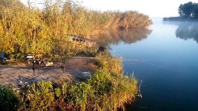 Рыбалка с.Успенка 1 сектор смотреть онлайн