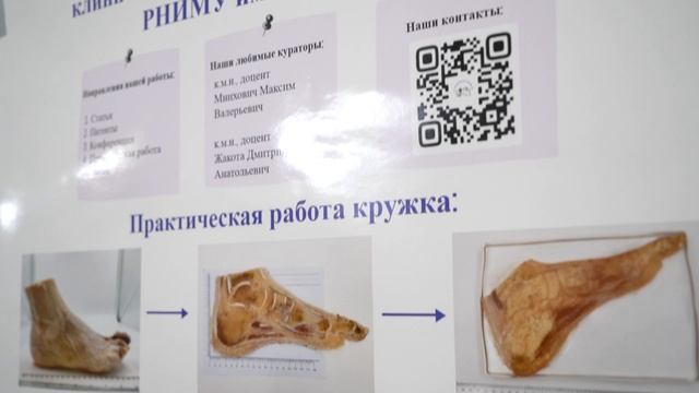 Студенты-патологоанатомы представили на «Абрикосовских чтениях» свои проекты смотреть онлайн