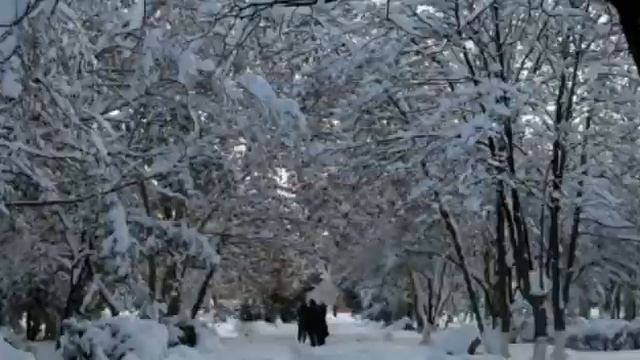 Мой город Махачкала