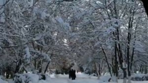 Мой город Махачкала