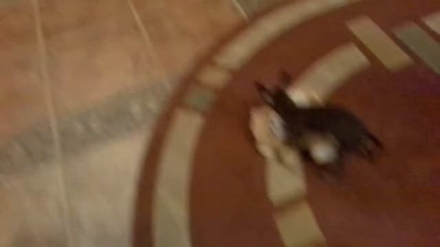 Бои без правил смотреть онлайн