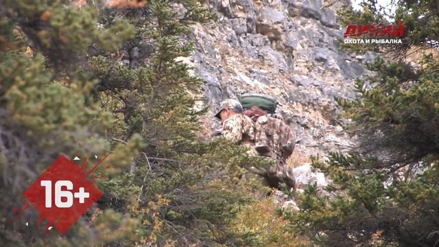 Охота на снежную козу в Британской Колумбии. Приключения со Стилияном Кадревым. смотреть онлайн