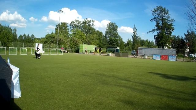 Алещенкова Елена и Ёся - Чемпионат Санкт-Петербурга по кинологическому фристайлу 2021 смотреть онлайн