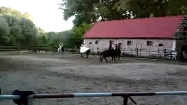 Конный вальс на Сказке смотреть онлайн