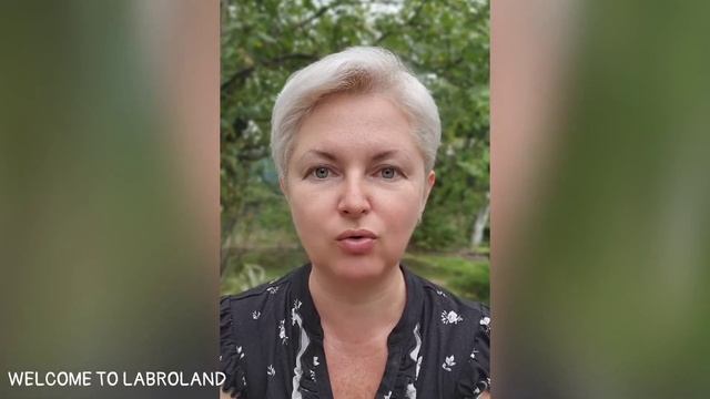 ??? У щенка режутся зубки: что делать? смотреть онлайн