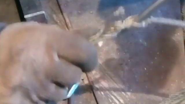 заплëтка ленивого огона с обжимом медью смотреть онлайн