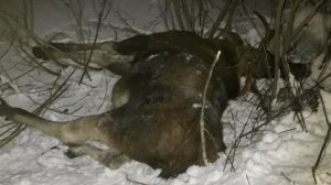 ТЕПЕРЬ ГЛУШИТЕЛЬ КАК НОВЫЙ!!! И ДАЖЕ ЛУЧШЕ. РЕМОНТ НА POLO SEDAN. | Не меняйте глушитель на АВТО!!