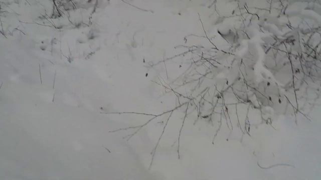 Я и тут найду цветмет. Тайга часть 2 смотреть онлайн