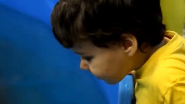 «Нерпинарий» в Балашове! смотреть онлайн