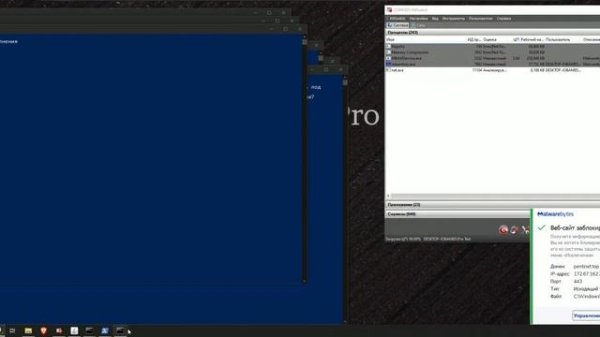 Тест Malwarebytes Premium от 29.09.2023