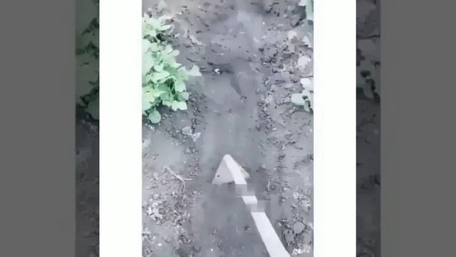 Матыжить заставили)) смотреть онлайн