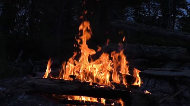 Костер горящий на берегу реки под спокойные звуки текущей воды. #огонь #костер #река #звукиприроды