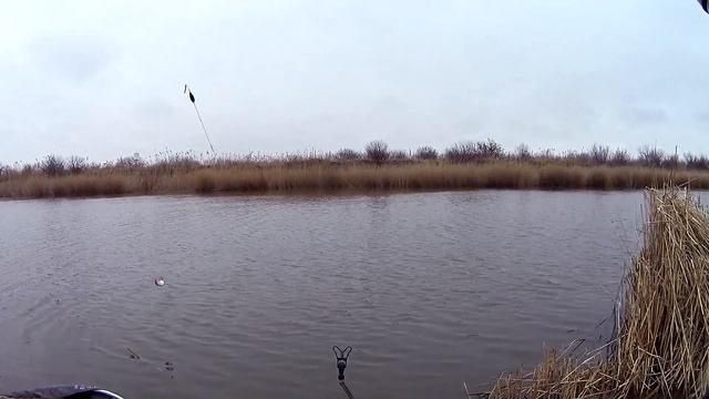Карась на скользящий поплавок зимой. Ловля карася на матч зимой. Карась на поплавок в январе смотреть онлайн