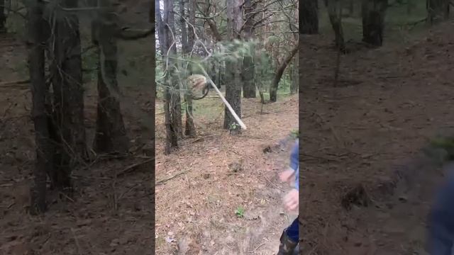 ДЕД И КОГДА НЕТУ ГРИБОВ В ЛЕСУ смотреть онлайн