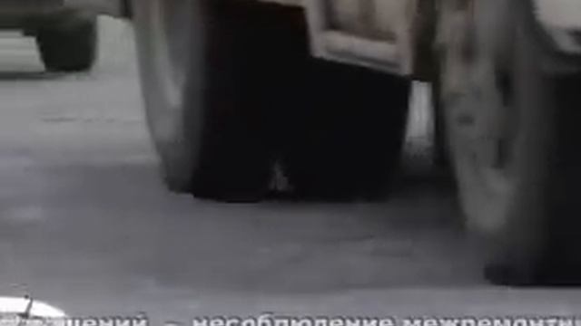 О ремонте дороги "Тотьма-Нюксеница-Великий Устюг" смотреть онлайн