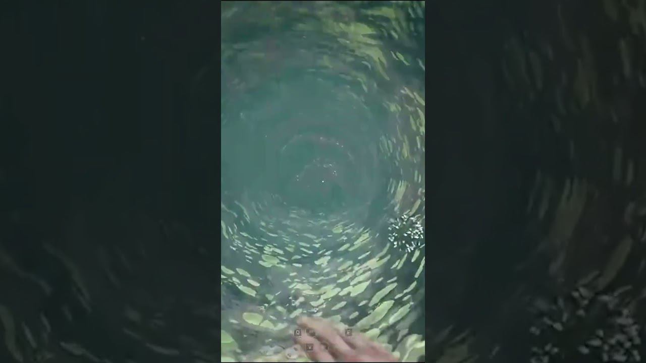 Полимеры в Atomic Heart, что это? смотреть онлайн