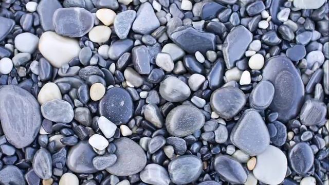 Проявленное не имеет цели [Н. Махарадж]