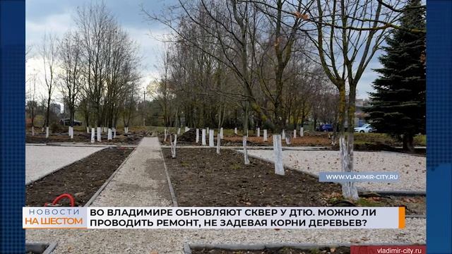Во Владимире обновляют сквер у ДТЮ. Можно ли проводить ремонт, не задевая корни деревьев? смотреть онлайн