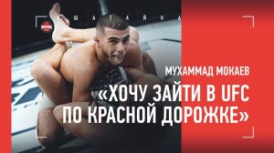 МУХАММАД МОКАЕВ: что объединяет с Конором, отказ Али Абдель-Азизу, план по покорению UFC