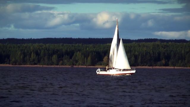 Relax Video Sunny Day/Природа и музыка Солнечный День смотреть онлайн