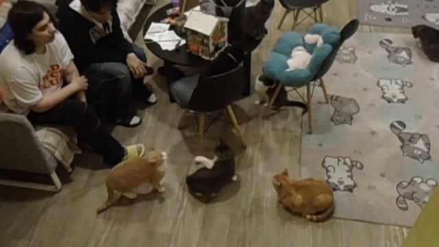 Sqwore & 17 SEVENTEEN - Как я провела лето (Snippet 24.09.2023) смотреть онлайн