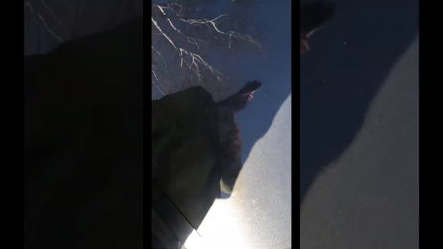 2010 camaro ss 5th gen (m6)walk around start up speed engineering slp oracle lights pedders coils смотреть онлайн