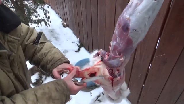 охотничий нож витязь