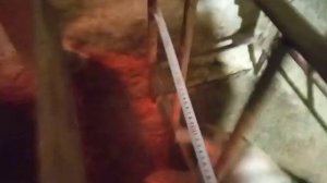 Станок для опороса своими руками. РАЗМЕРЫ!