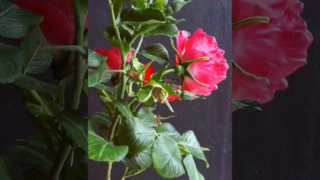 Шиповник морщинистый из холодного фарфора смотреть онлайн