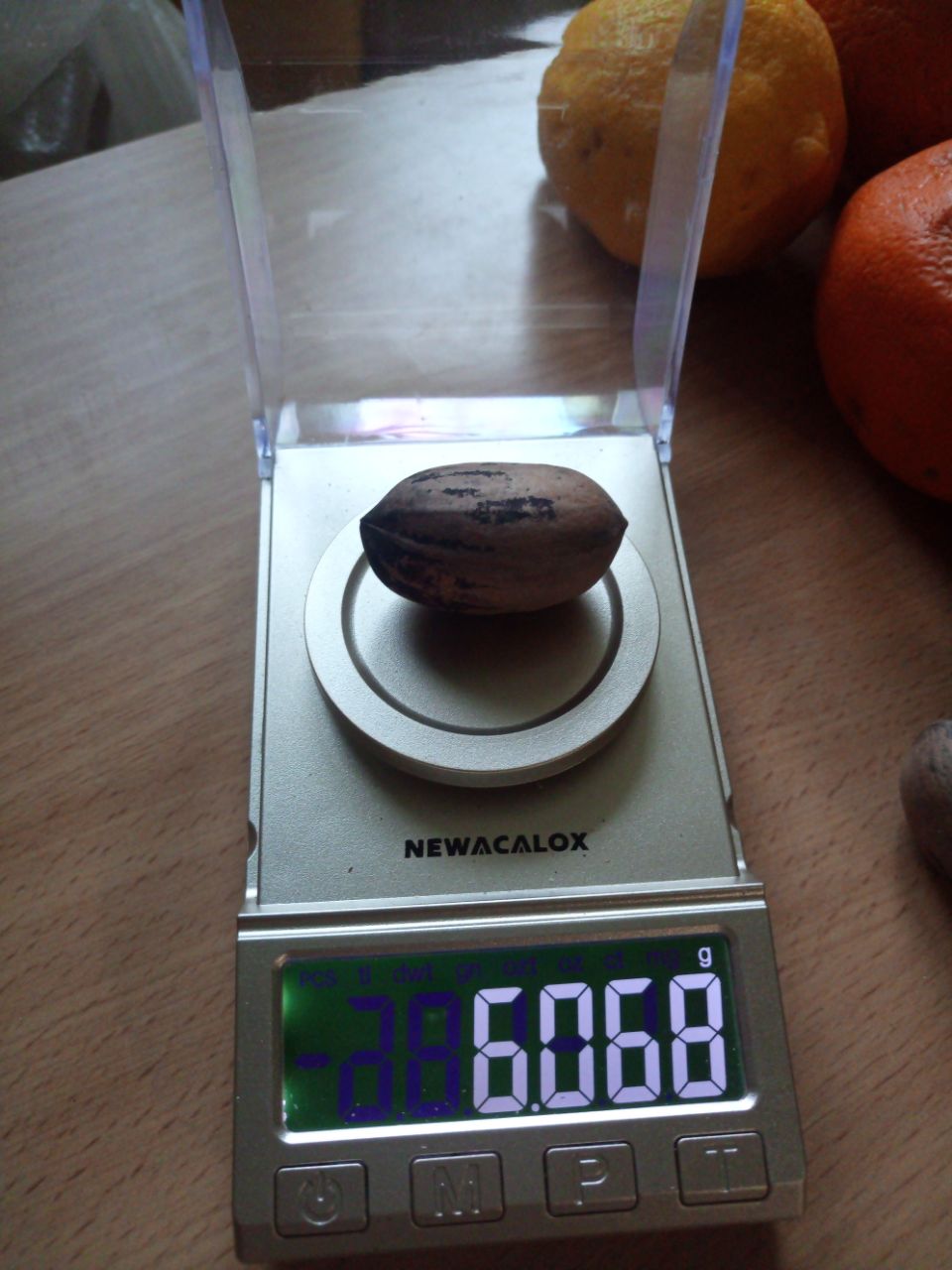 пекан, орех пекан, пекан кондитерский, американский орех, pecan, Carya illinoinensis, пекан растение смотреть онлайн