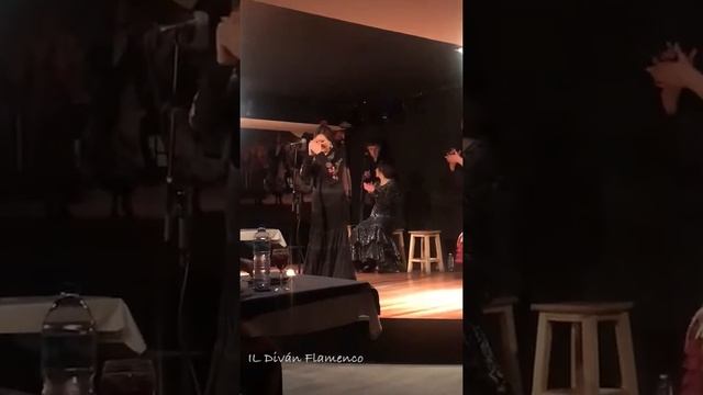 Loreto De Diego смотреть онлайн