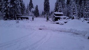 Фронтальный погрузчик  GRIZZLY zl 30 свой отзыв