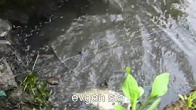 КАША ДЛЯ РЫБАЛКИ на пенопласт смотреть онлайн